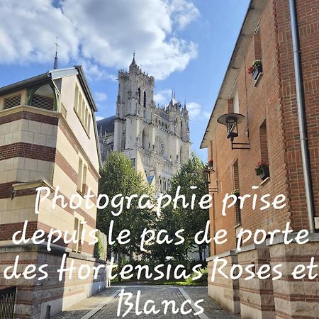 Les Hortensias Blancs Studio アミアン エクステリア 写真